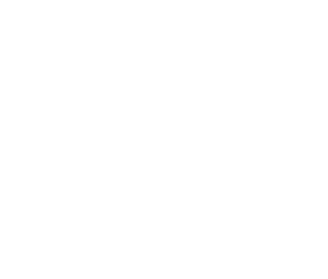 Pay Capitals Mortgage Solutions