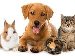 Stonehenge Residences